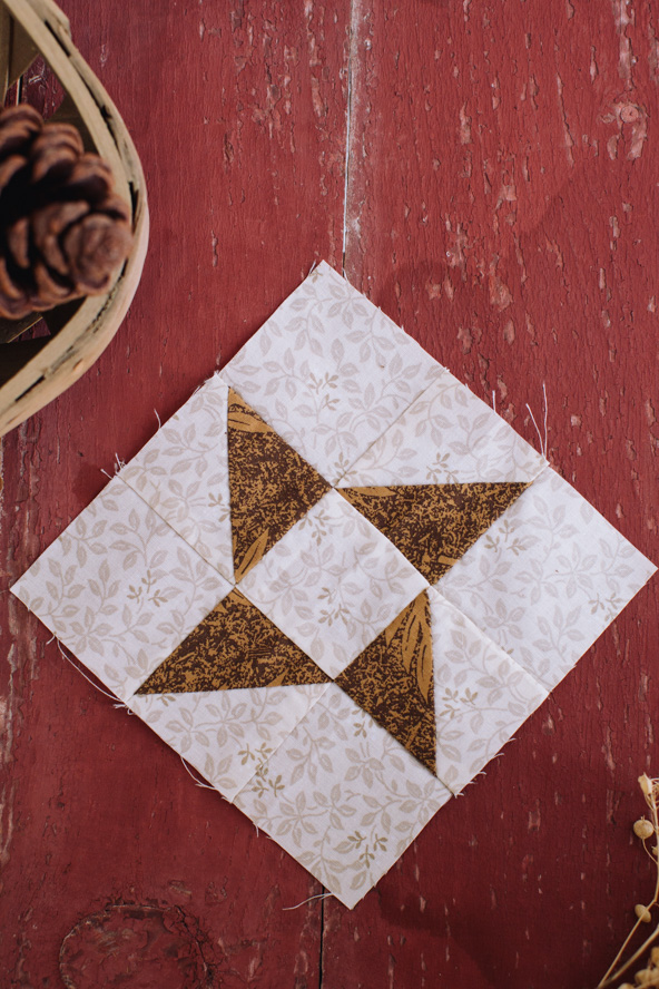 Mocha Friendship Star Quilt Block